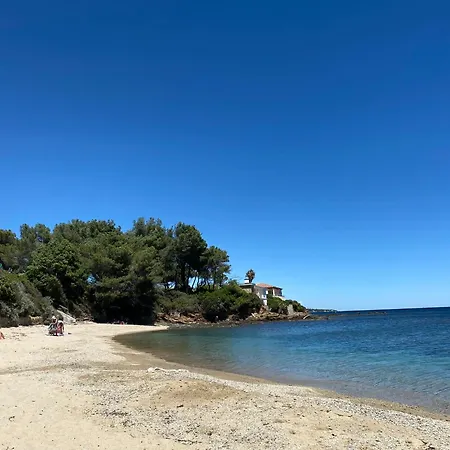 Feriehus Florida 12 *
